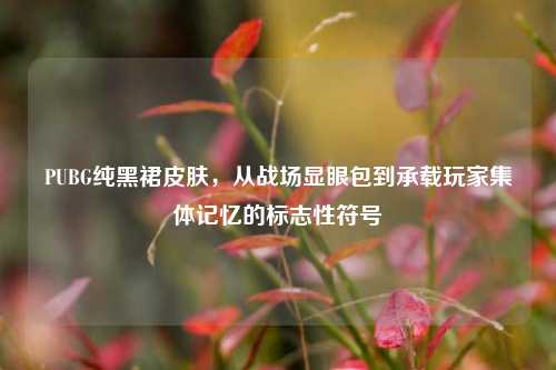 PUBG纯黑裙皮肤,从战场显眼包到承载玩家集体记忆的标志性符号