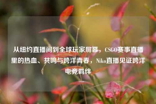 从纽约直播间到全球玩家屏幕，CSGO赛事直播里的热血、共鸣与跨洋青春，Niko直播见证跨洋电竞羁绊