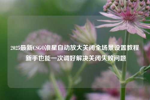 2025最新CSGO准星自动放大关闭全场景设置教程 新手也能一次调好解决关闭失败问题