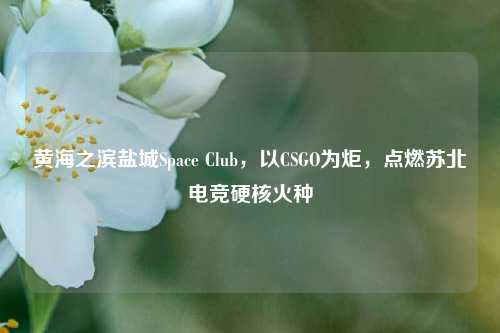 黄海之滨盐城Space Club，以CSGO为炬，点燃苏北电竞硬核火种