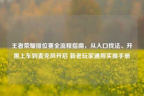 王者荣耀排位赛全流程指南,从入口找法、开黑上车到麦克风开启 新老玩家通用实操手册