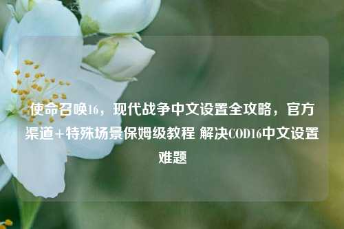 使命召唤16，现代战争中文设置全攻略，官方渠道+特殊场景保姆级教程 解决COD16中文设置难题