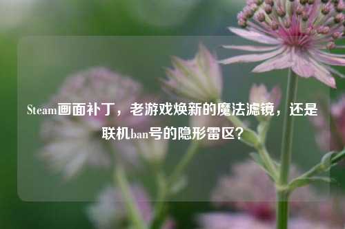 Steam画面补丁，老游戏焕新的魔法滤镜，还是联机ban号的隐形雷区？