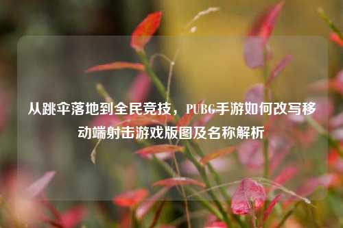 从跳伞落地到全民竞技，PUBG手游如何改写移动端射击游戏版图及名称解析