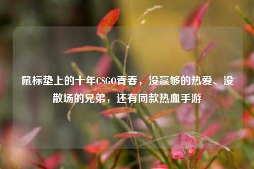 鼠标垫上的十年CSGO青春，没赢够的热爱、没散场的兄弟，还有同款热血手游