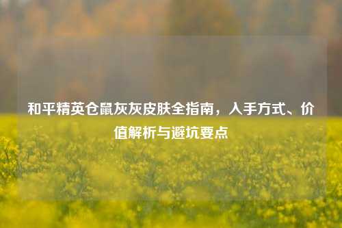 和平精英仓鼠灰灰皮肤全指南,入手方式、价值解析与避坑要点