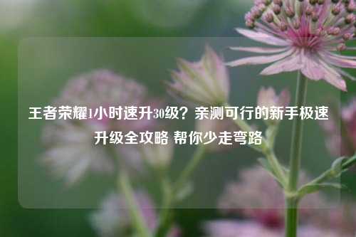 王者荣耀1小时速升30级？亲测可行的新手极速升级全攻略 帮你少走弯路