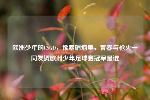 欧洲少年的CSGO,像素硝烟里,青春与枪火一同发烫欧洲少年足球赛冠军是谁
