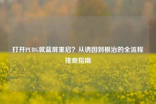 打开PUBG就蓝屏重启?从诱因到根治的全流程排查指南
