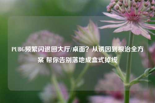 PUBG频繁闪退回大厅/桌面？从诱因到根治全方案 帮你告别落地成盒式掉线