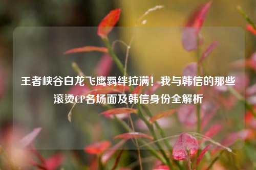 王者峡谷白龙飞鹰羁绊拉满！我与韩信的那些滚烫CP名场面及韩信身份全解析