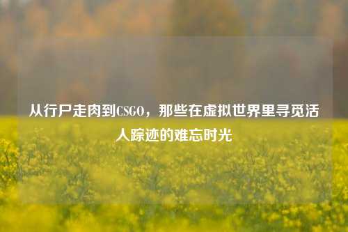从行尸走肉到CSGO，那些在虚拟世界里寻觅活人踪迹的难忘时光