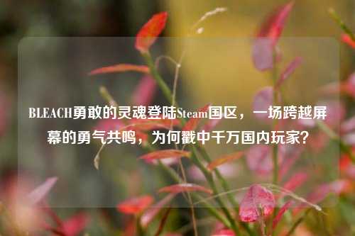 BLEACH勇敢的灵魂登陆Steam国区，一场跨越屏幕的勇气共鸣，为何戳中千万国内玩家？