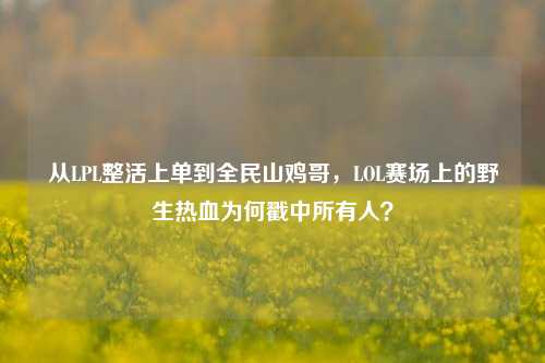 从LPL整活上单到全民山鸡哥,LOL赛场上的野生热血为何戳中所有人?