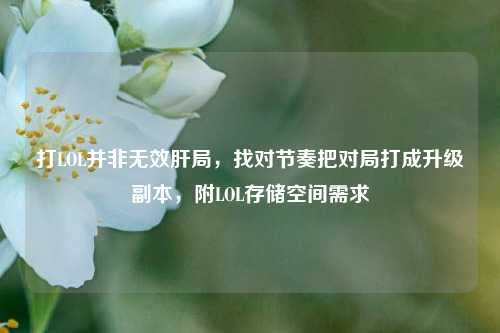 打LOL并非无效肝局,找对节奏把对局打成升级副本,附LOL存储空间需求