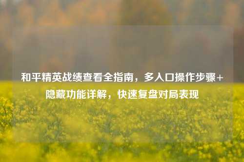 和平精英战绩查看全指南，多入口操作步骤+隐藏功能详解，快速复盘对局表现
