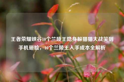 王者荣耀峡谷10个兰陵王隐身躲猫猫大战笑到手机砸脸,10个兰陵王入手成本全解析
