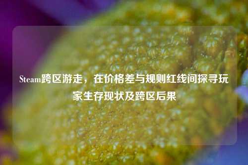 Steam跨区游走,在价格差与规则红线间探寻玩家生存现状及跨区后果