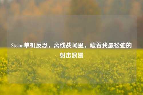 Steam单机反恐，离线战场里，藏着我最松弛的射击浪漫