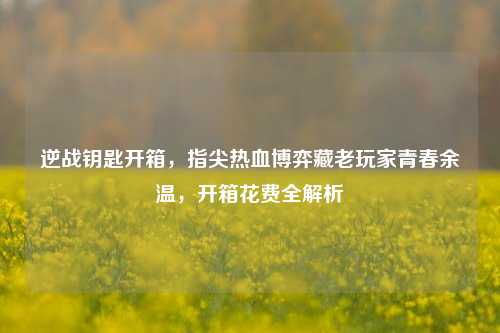 逆战钥匙开箱,指尖热血博弈藏老玩家青春余温,开箱花费全解析