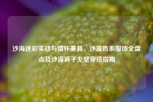 沙海迷彩实战与情怀兼具,沙漠色系服饰全盘点及沙漠裤子戈壁穿搭指南
