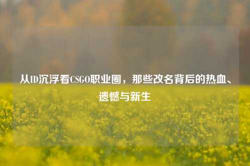 从ID沉浮看CSGO职业圈,那些改名背后的热血、遗憾与新生