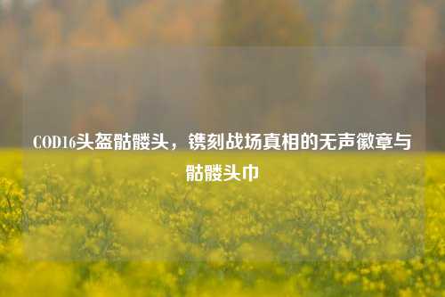 COD16头盔骷髅头，镌刻战场真相的无声徽章与骷髅头巾