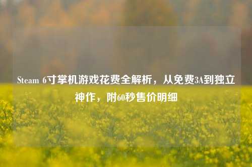 Steam 6寸掌机游戏花费全解析,从免费3A到独立神作,附60秒售价明细