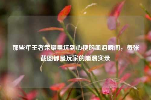 那些年王者荣耀里坑到心梗的血泪瞬间，每张截图都是玩家的崩溃实录