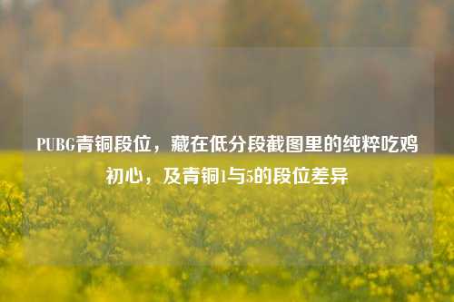 PUBG青铜段位,藏在低分段截图里的纯粹吃鸡初心,及青铜1与5的段位差异