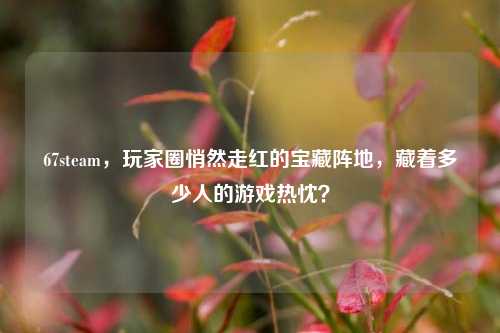 67steam,玩家圈悄然走红的宝藏阵地,藏着多少人的游戏热忱?