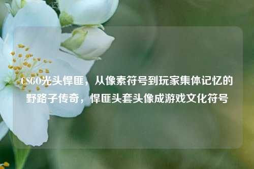 CSGO光头悍匪,从像素符号到玩家集体记忆的野路子传奇,悍匪头套头像成游戏文化符号
