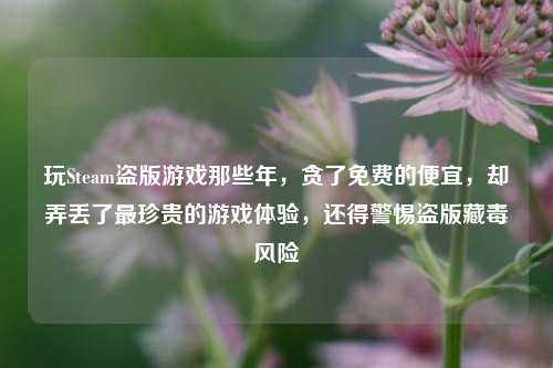 玩Steam盗版游戏那些年，贪了免费的便宜，却弄丢了最珍贵的游戏体验，还得警惕盗版藏毒风险