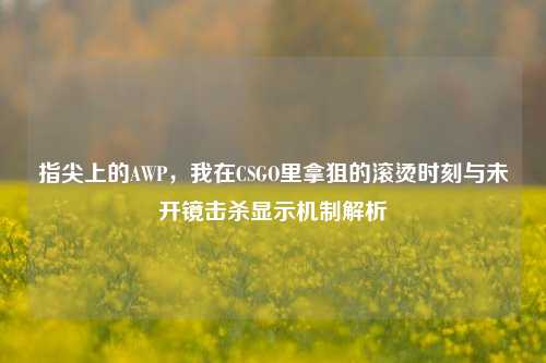指尖上的AWP,我在CSGO里拿狙的滚烫时刻与未开镜击杀显示机制解析