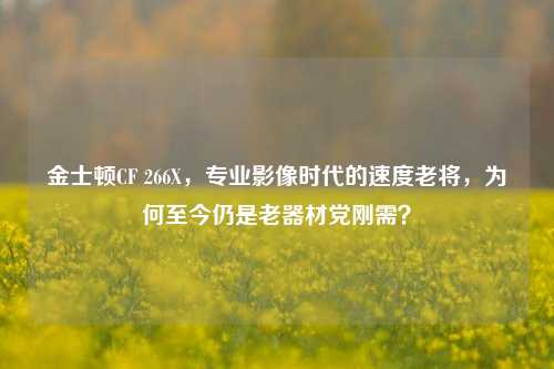 金士顿CF 266X,专业影像时代的速度老将,为何至今仍是老器材党刚需?