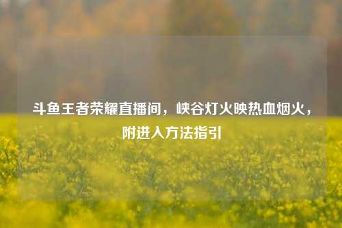 斗鱼王者荣耀直播间，峡谷灯火映热血烟火，附进入方法指引