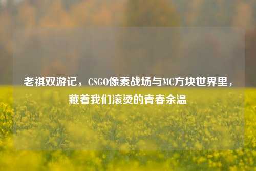 老祺双游记，CSGO像素战场与MC方块世界里，藏着我们滚烫的青春余温