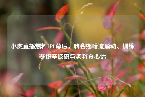 小虎直播爆料LPL幕后,转会期暗流涌动、训练赛秘辛披露与老将真心话