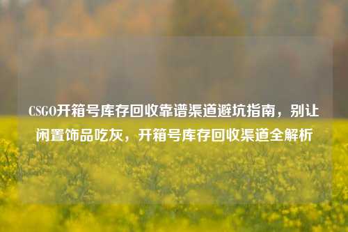 CSGO开箱号库存回收靠谱渠道避坑指南，别让闲置饰品吃灰，开箱号库存回收渠道全解析
