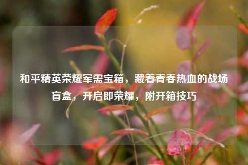 和平精英荣耀军需宝箱，藏着青春热血的战场盲盒，开启即荣耀，附开箱技巧