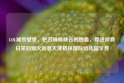 LOL城市壁纸，把召唤师峡谷的热血，焊进你我日常的烟火街巷天津格林国际幼儿园学费