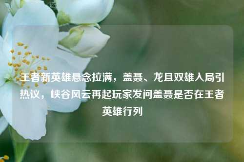 王者新英雄悬念拉满，盖聂、龙且双雄入局引热议，峡谷风云再起玩家发问盖聂是否在王者英雄行列