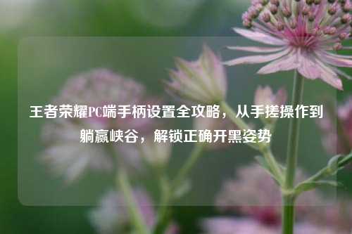 王者荣耀PC端手柄设置全攻略，从手搓操作到躺赢峡谷，解锁正确开黑姿势