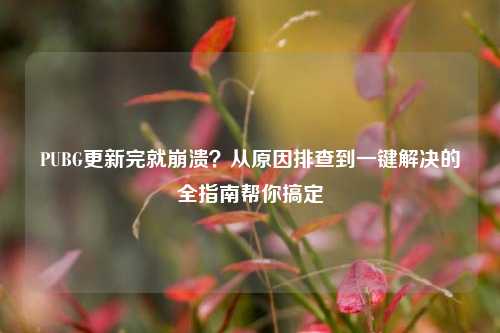 PUBG更新完就崩溃？从原因排查到一键解决的全指南帮你搞定