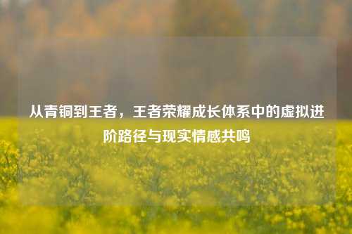 从青铜到王者，王者荣耀成长体系中的虚拟进阶路径与现实情感共鸣