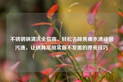 不锈钢锅清洗全指南,轻松去除焦痕水渍顽固污渍,让锅具常用常新不发黑的擦亮技巧