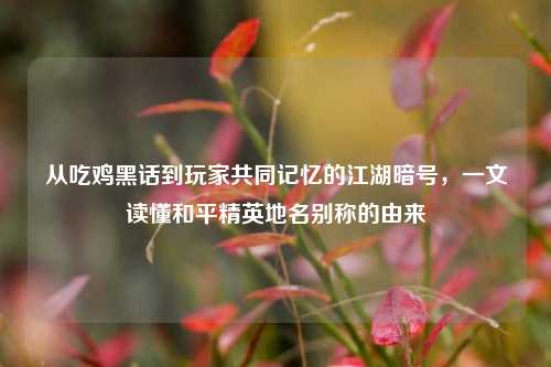 从吃鸡黑话到玩家共同记忆的江湖暗号,一文读懂和平精英地名别称的由来