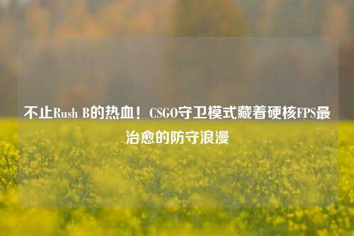 不止Rush B的热血!CSGO守卫模式藏着硬核FPS最治愈的防守浪漫