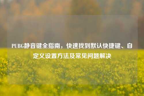 PUBG静音键全指南,快速找到默认快捷键、自定义设置方法及常见问题解决
