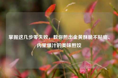 掌握这几步零失败，教你煎出金黄酥脆不粘底、内里爆汁的美味煎饺